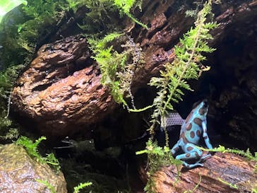 体感型カエル館KawaZooに投稿された画像（2025/8/13）