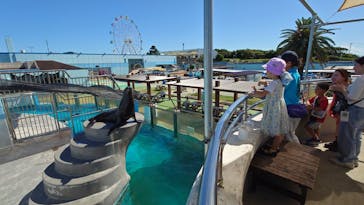 南知多ビーチランド＆南知多おもちゃ王国に投稿された画像（2025/8/13）