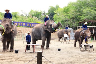 ANIMAL WONDER REZOURT 市原ぞうの国・サユリワールドに投稿された画像（2025/8/13）