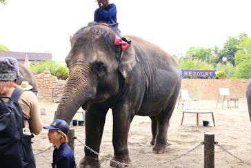 ANIMAL WONDER REZOURT 市原ぞうの国・サユリワールドに投稿された画像（2025/8/13）