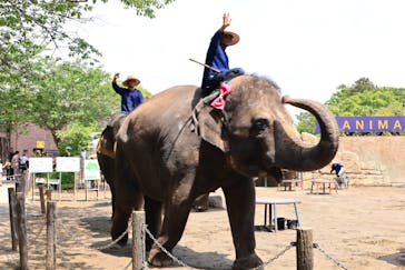 ANIMAL WONDER REZOURT 市原ぞうの国・サユリワールドに投稿された画像（2025/8/13）