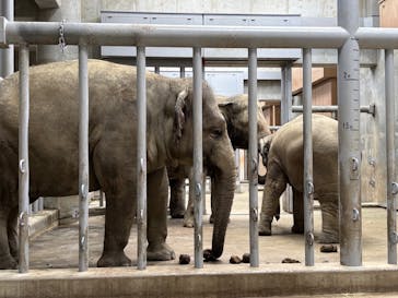 名古屋市東山動植物園に投稿された画像（2025/8/13）