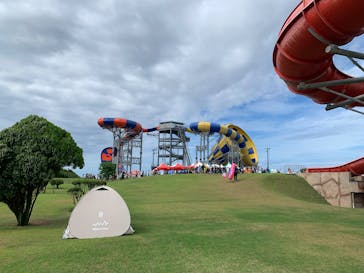 芝政ワールドに投稿された画像（2025/8/13）