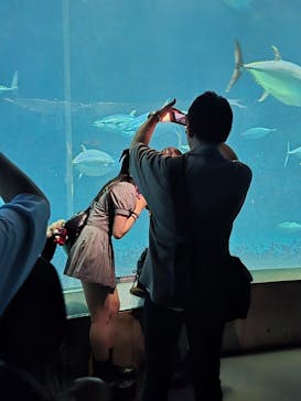 葛西臨海水族園に投稿された画像（2025/8/13）