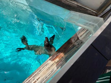 マリンワールド海の中道に投稿された画像（2025/8/13）