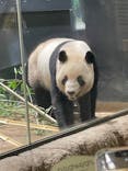 恩賜上野動物園に投稿された画像（2025/8/13）