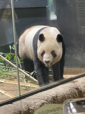 恩賜上野動物園に投稿された画像（2025/8/13）