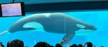 名古屋港水族館に投稿された画像（2025/8/13）