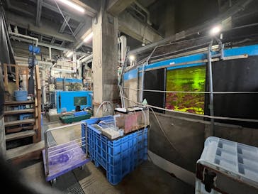 アクアマリンふくしまに投稿された画像（2025/8/13）