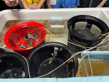 アクアマリンふくしまに投稿された画像（2025/8/13）