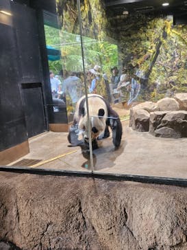 恩賜上野動物園に投稿された画像（2025/8/13）