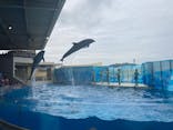 新江ノ島水族館に投稿された画像（2025/8/13）