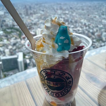 ハルカス300(展望台)に投稿された画像（2025/8/13）