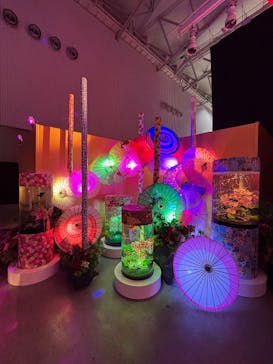 錦鯉・金魚アクアリウム in ときメッセに投稿された画像（2025/8/13）