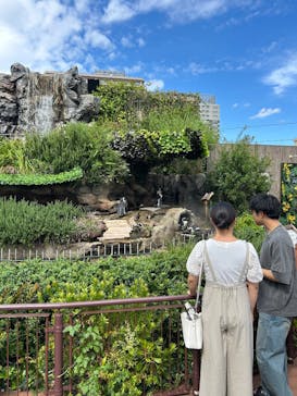 サンシャイン水族館に投稿された画像（2025/8/13）