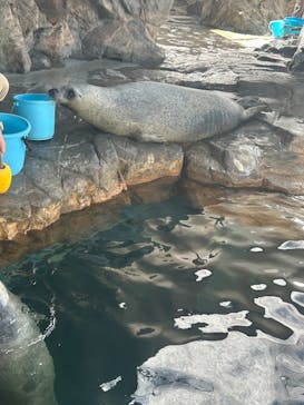 しながわ水族館に投稿された画像（2025/8/13）
