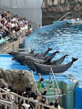 名古屋港水族館に投稿された画像（2025/8/13）