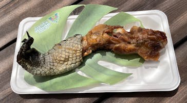 ブラジリアンパーク鷲羽山ハイランドに投稿された画像（2025/8/13）