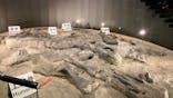 福井県立恐竜博物館に投稿された画像（2025/8/13）