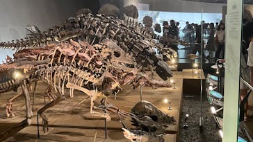 福井県立恐竜博物館に投稿された画像（2025/8/13）