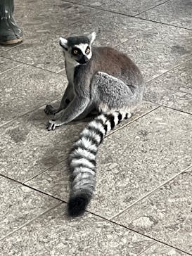 NIFREL（ニフレル）に投稿された画像（2025/8/13）