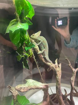 NIFREL（ニフレル）に投稿された画像（2025/8/13）