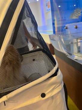 南知多ビーチランド＆南知多おもちゃ王国に投稿された画像（2025/8/13）