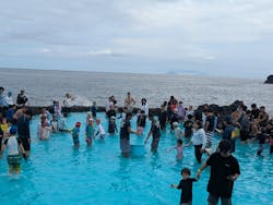 伊豆海洋公園磯プールに投稿された画像（2025/8/13）