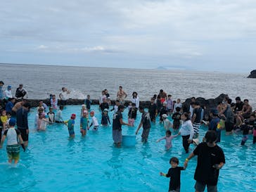 伊豆海洋公園磯プールに投稿された画像（2025/8/13）