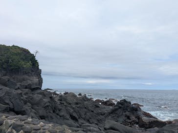 伊豆海洋公園磯プールに投稿された画像（2025/8/13）