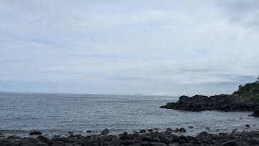 伊豆海洋公園磯プールに投稿された画像（2025/8/13）