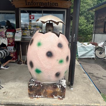 福井県立恐竜博物館に投稿された画像（2025/8/13）