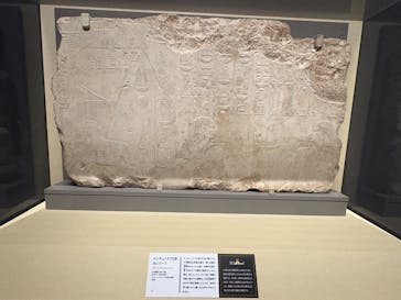 ブルックリン博物館所蔵　特別展　古代エジプト（豊田会場）に投稿された画像（2025/8/13）