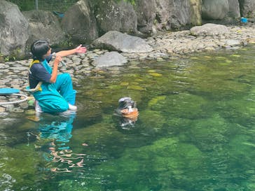 箱根園水族館に投稿された画像（2025/8/13）
