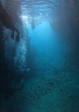 武藤潜水に投稿された画像（2025/8/13）