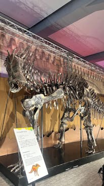 巨大恐竜展2025に投稿された画像（2025/8/13）