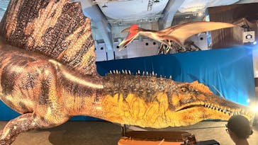 巨大恐竜展2025に投稿された画像（2025/8/13）