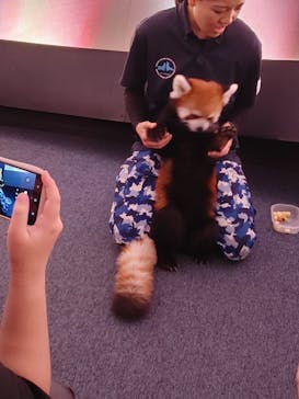 横浜・八景島シーパラダイスに投稿された画像（2025/8/13）