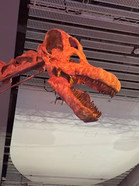 巨大恐竜展2025に投稿された画像（2025/8/13）