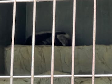 名古屋市東山動植物園に投稿された画像（2025/8/13）