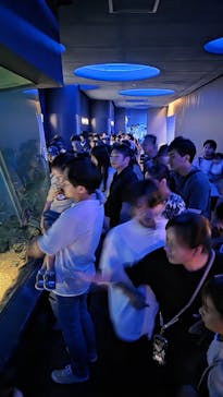 アクアワールド茨城県大洗水族館に投稿された画像（2025/8/13）