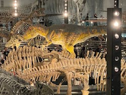 福井県立恐竜博物館に投稿された画像（2025/8/13）
