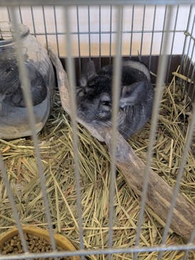 Moff animal world BIGHOPガーデンモール印西店に投稿された画像（2025/8/13）