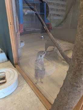 Moff animal world BIGHOPガーデンモール印西店に投稿された画像（2025/8/13）