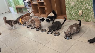 Moff animal world BIGHOPガーデンモール印西店に投稿された画像（2025/8/13）