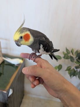 Moff animal world BIGHOPガーデンモール印西店に投稿された画像（2025/8/13）