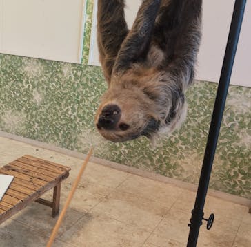 Moff animal world BIGHOPガーデンモール印西店に投稿された画像（2025/8/13）