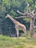 天王寺動物園に投稿された画像（2025/8/13）