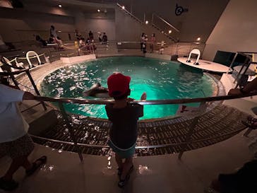 城崎マリンワールドに投稿された画像（2025/8/13）