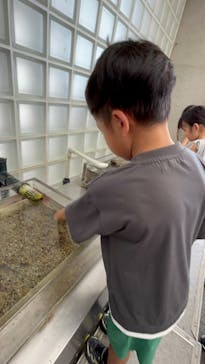 城崎マリンワールドに投稿された画像（2025/8/13）